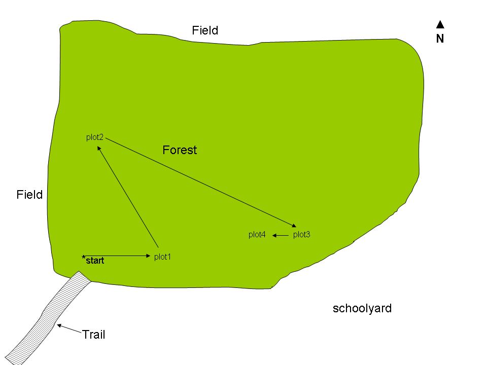 Green blob of land with 4 randomly located sample plots connected with walking lines