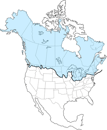 Map of north america with extent of glaciation shown covering all of Canada, dipping below the great lakes in the United States